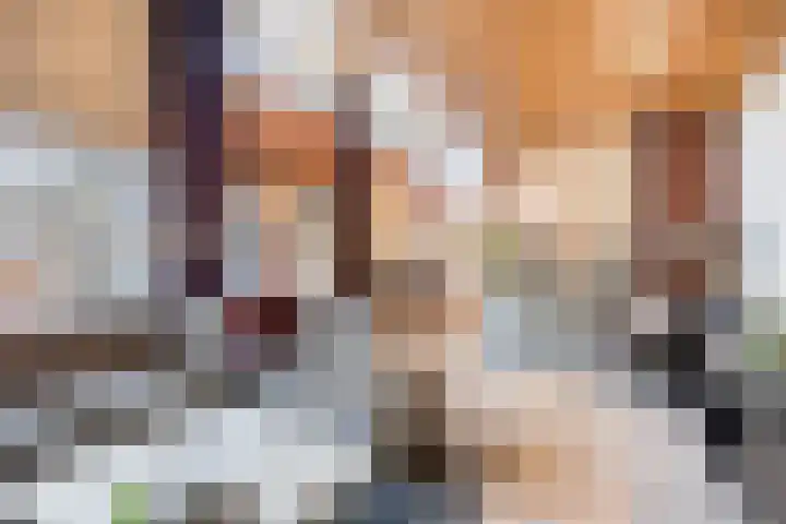 Saffraantuin 6 Leiden thumbnail 16