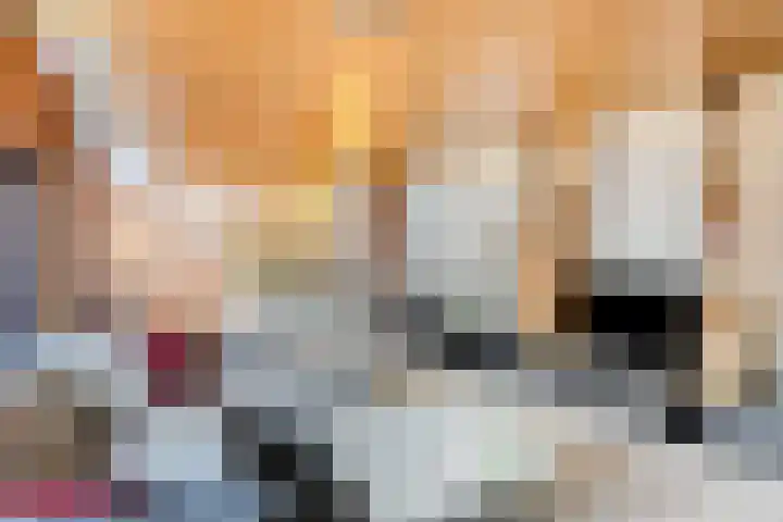 Saffraantuin 6 Leiden thumbnail 17