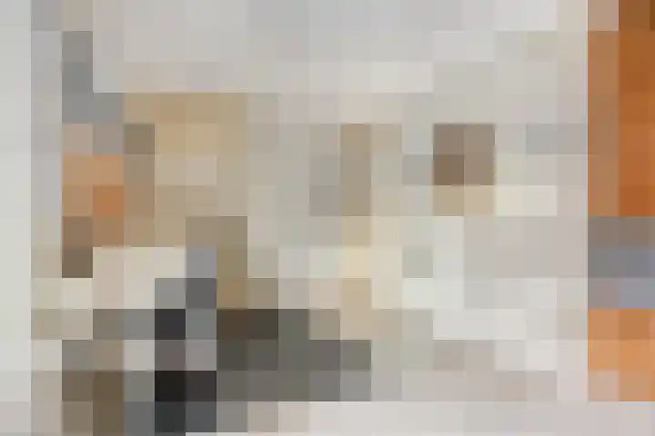 Saffraantuin 6 Leiden thumbnail 24