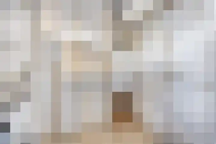 Saffraantuin 6 Leiden thumbnail 26