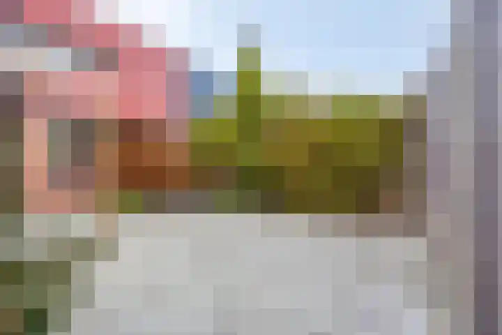 Saffraantuin 6 Leiden thumbnail 29