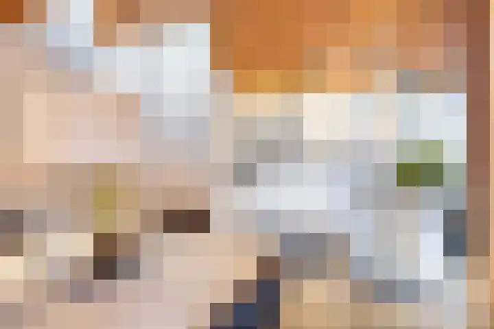 Saffraantuin 6 Leiden foto 3