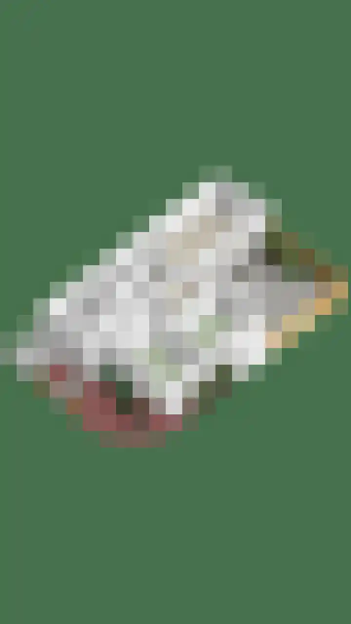 Saffraantuin 6 Leiden thumbnail 35