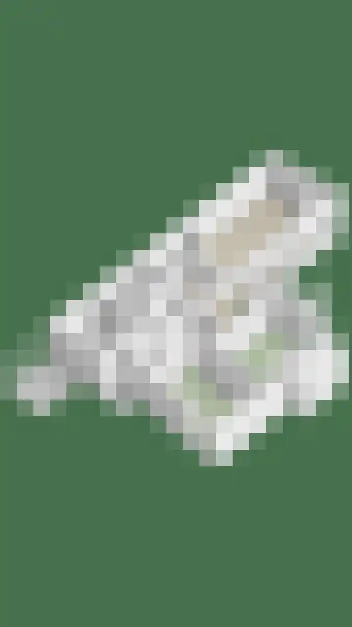 Saffraantuin 6 Leiden thumbnail 36