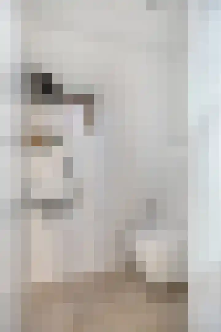 Saffraantuin 6 Leiden thumbnail 7