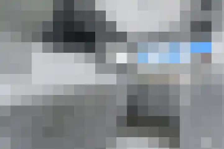 Salamander 17 Alblasserdam thumbnail 12