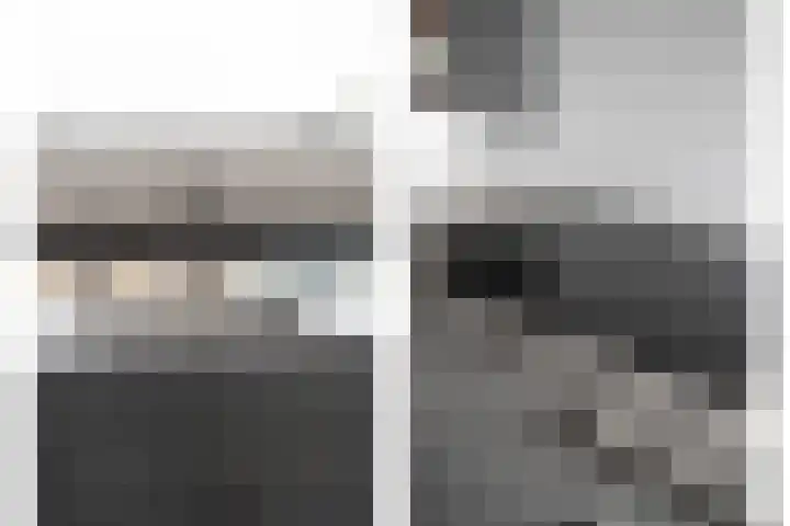 Salamander 17 Alblasserdam thumbnail 13