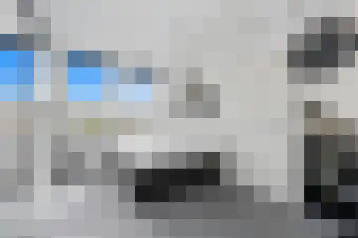 Salamander 17 Alblasserdam thumbnail 28