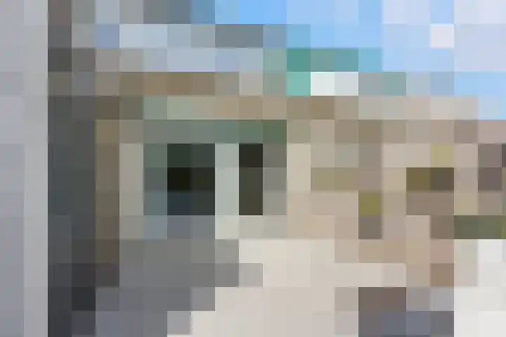 Salamander 17 Alblasserdam thumbnail 31