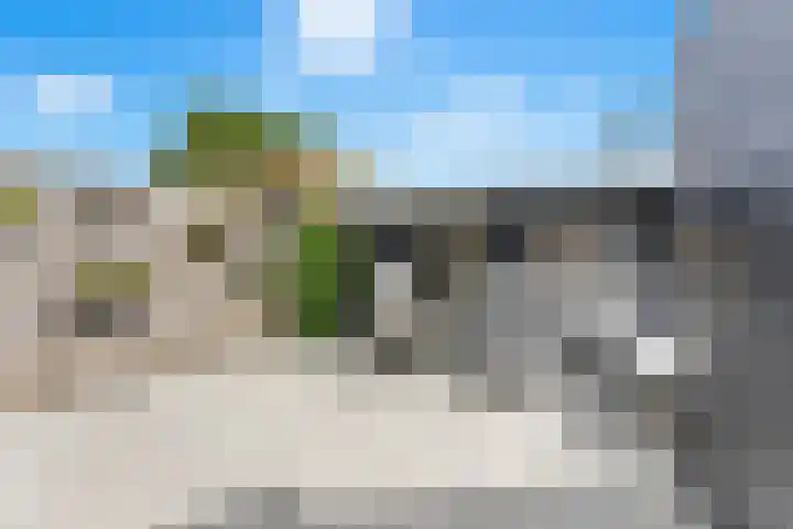 Salamander 17 Alblasserdam thumbnail 34