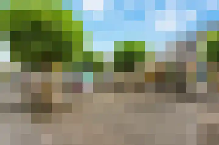 Salamander 17 Alblasserdam thumbnail 41