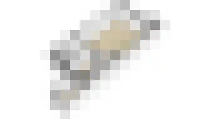 Salamander 17 Alblasserdam thumbnail 43