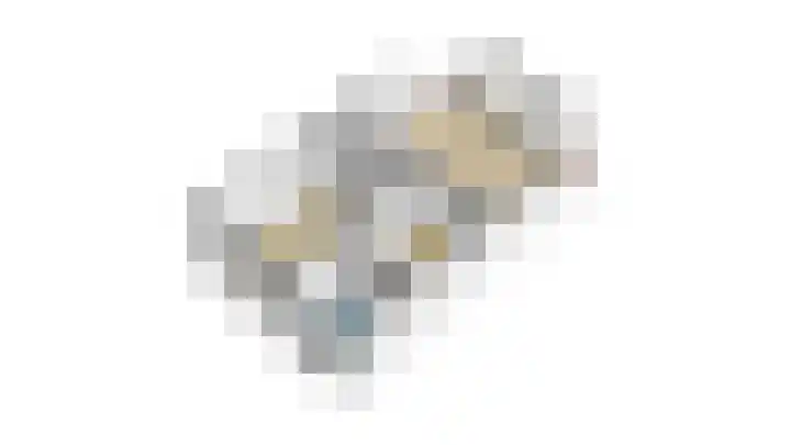 Salamander 17 Alblasserdam thumbnail 45