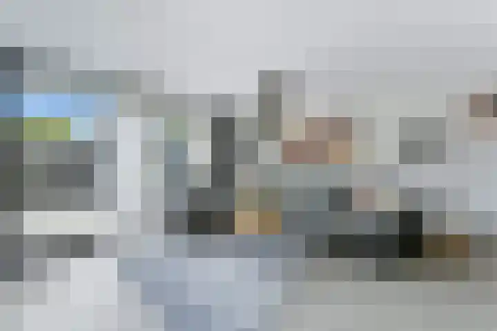 Salamander 17 Alblasserdam thumbnail 5