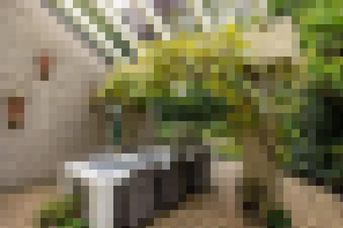 Salamander 56 Leusden thumbnail 39