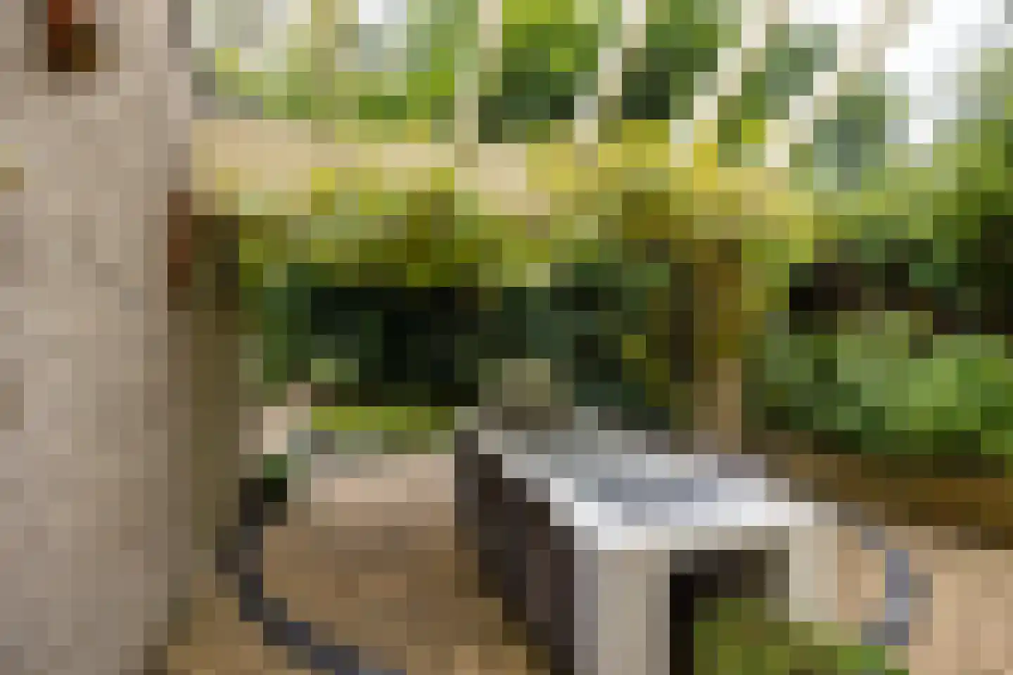 Salamander 56 Leusden thumbnail 40