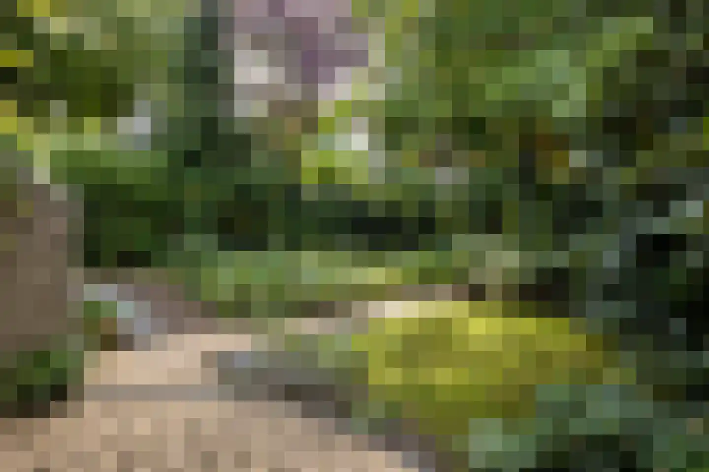Salamander 56 Leusden thumbnail 41