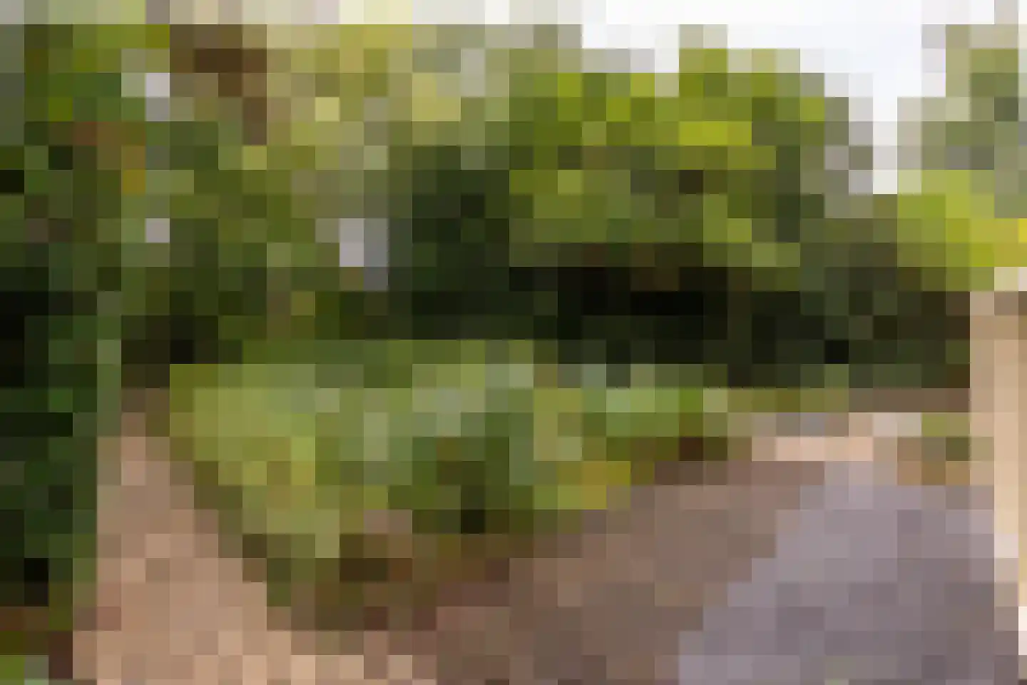 Salamander 56 Leusden thumbnail 42