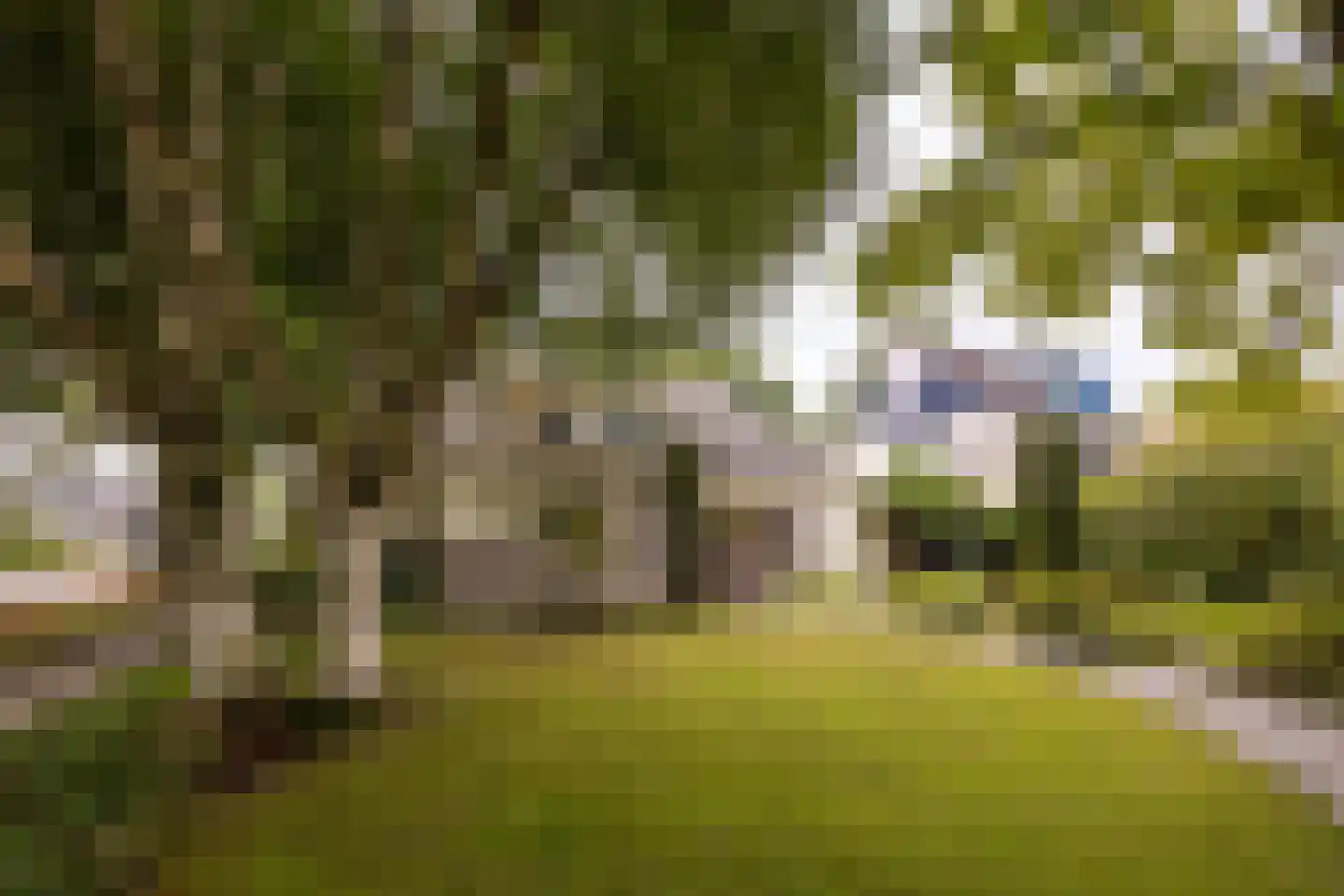 Salamander 56 Leusden thumbnail 43