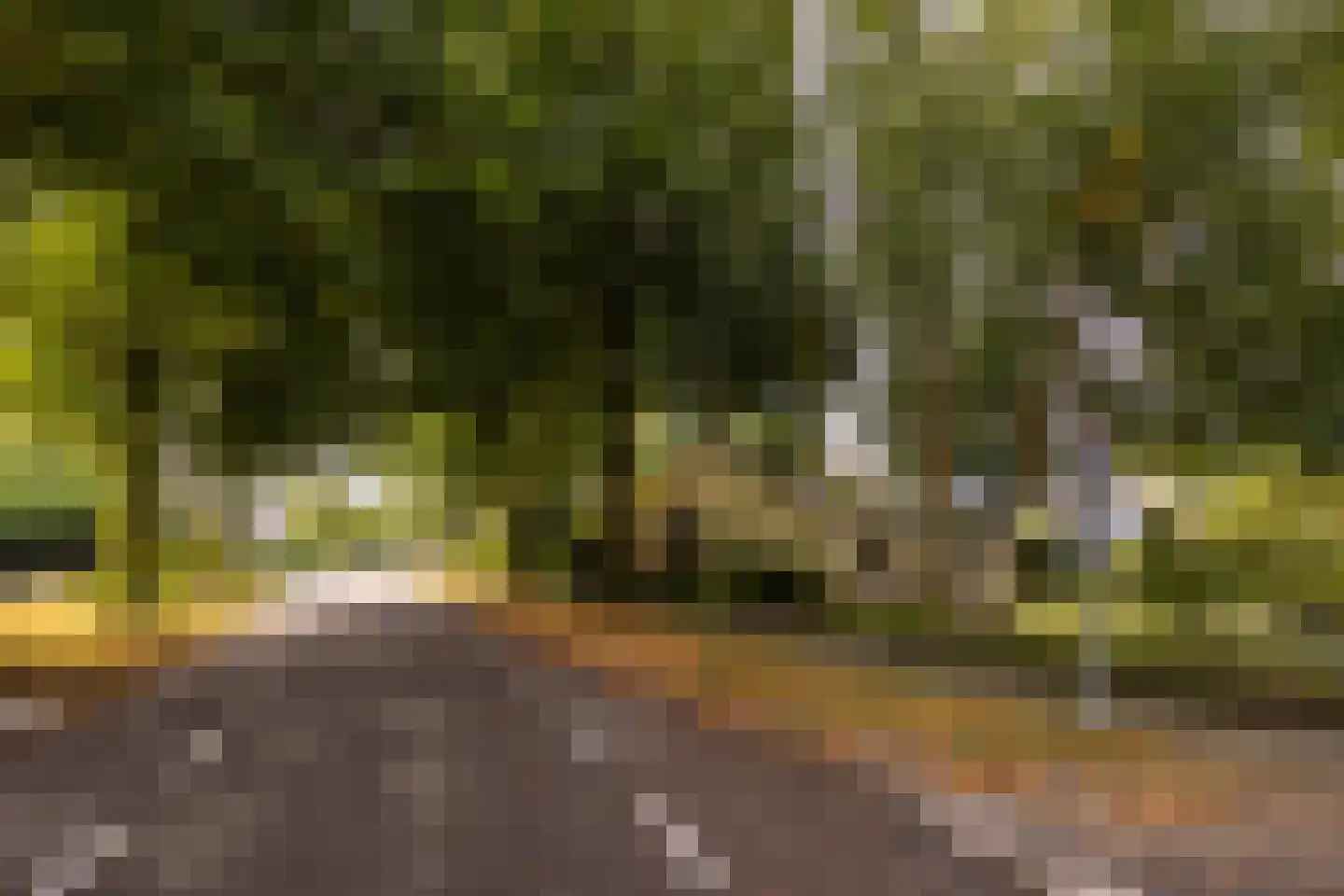 Salamander 56 Leusden thumbnail 46
