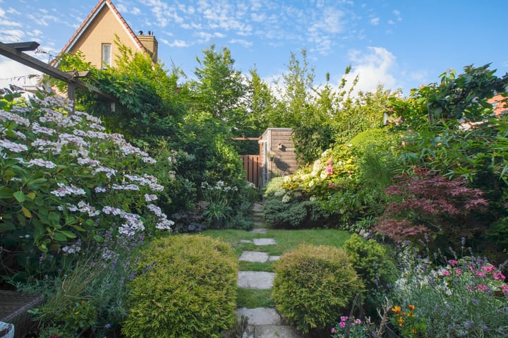 Salamander 83 in Amstelveen foto