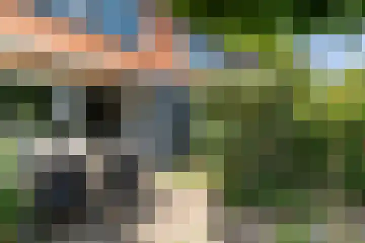 Salamanderpad 2 Delft thumbnail 14