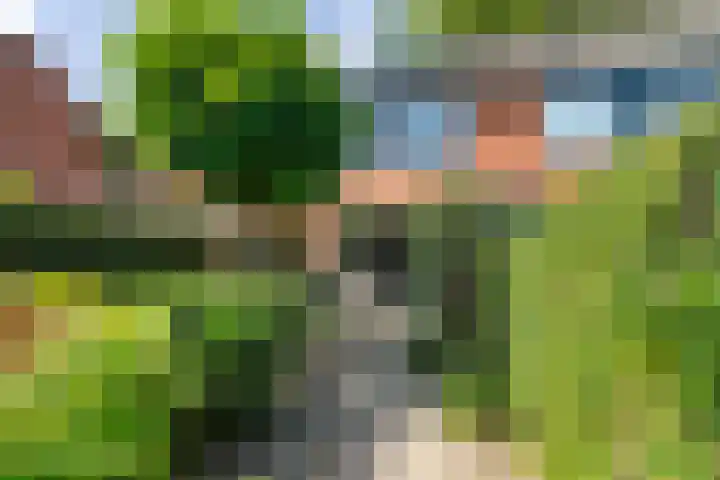 Salamanderpad 2 Delft thumbnail 15