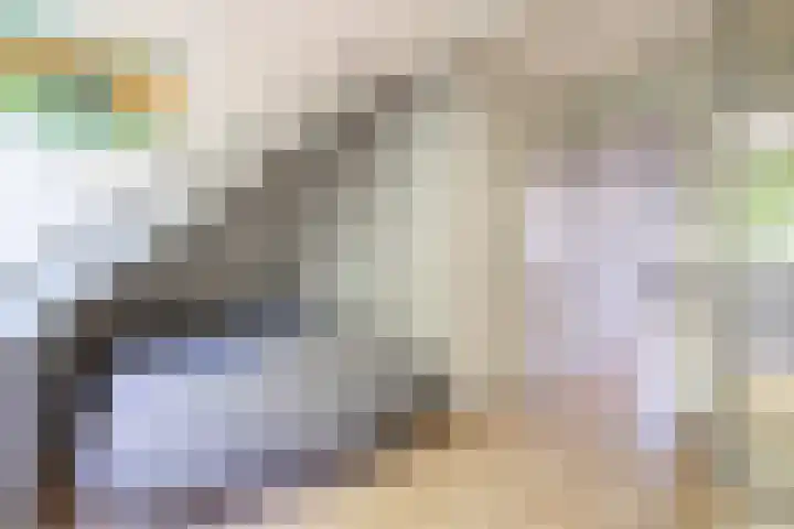 Salamanderpad 2 Delft thumbnail 31