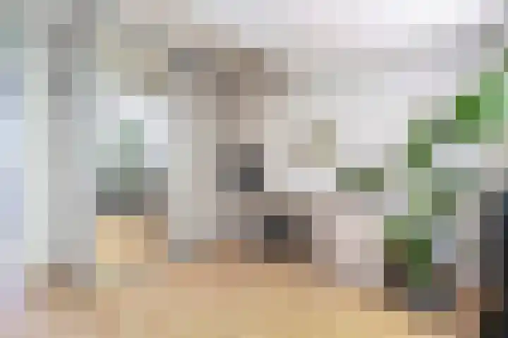 Salamanderpad 2 Delft thumbnail 32