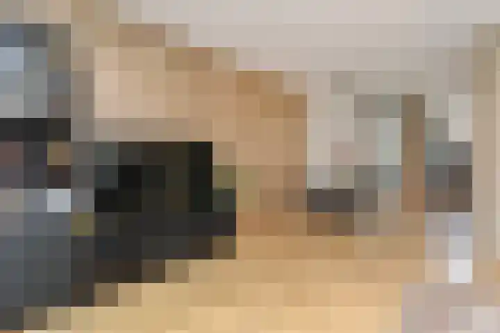 Salamandersloot 40 Zoetermeer thumbnail 11