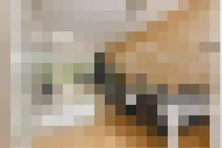Salamandersloot 40 Zoetermeer thumbnail 17