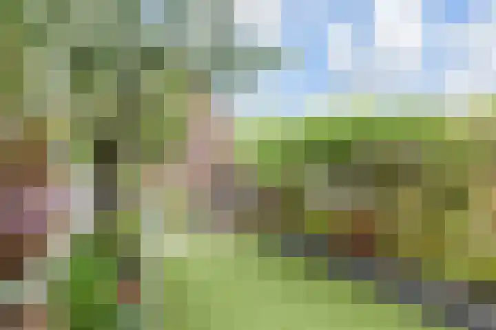 Salamandersloot 40 Zoetermeer thumbnail 18