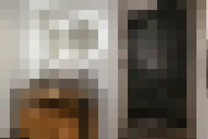 Salamandersloot 40 Zoetermeer thumbnail 26