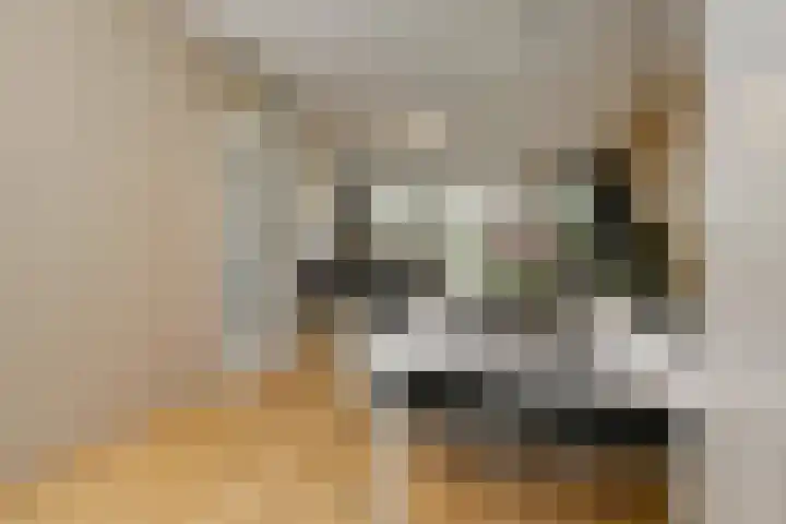 Salamandersloot 40 Zoetermeer thumbnail 30