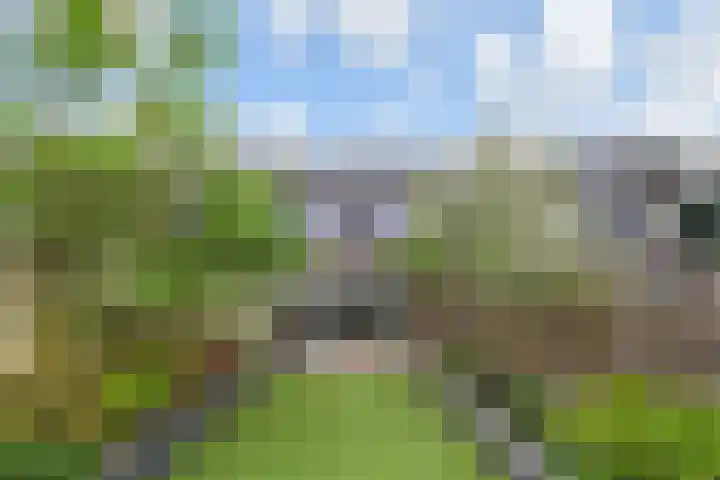 Salamandersloot 40 Zoetermeer thumbnail 51