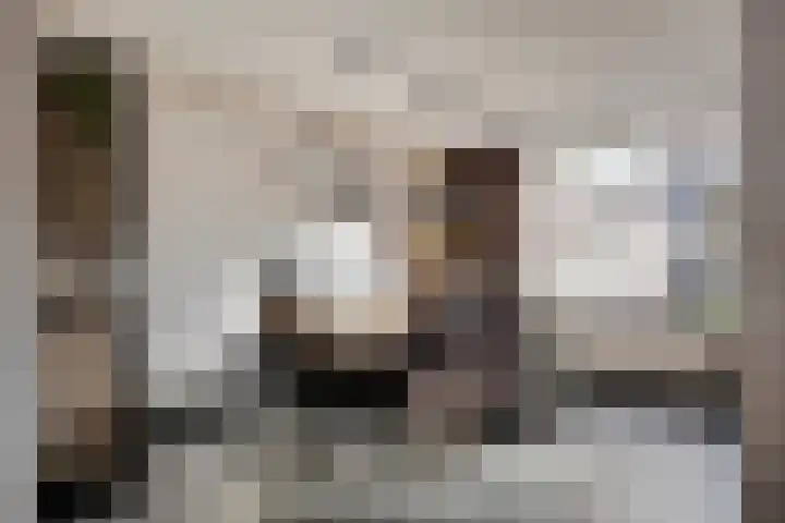 Salderes 138 Best thumbnail 13