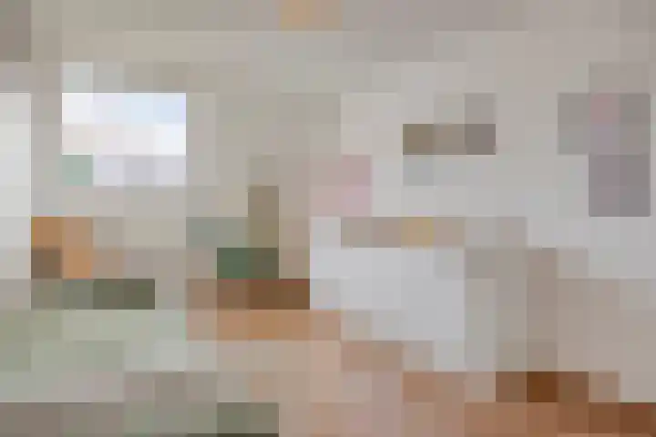 Salderes 138 Best thumbnail 23