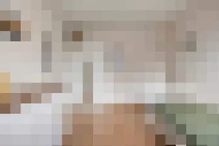 Salderes 138 Best thumbnail 24