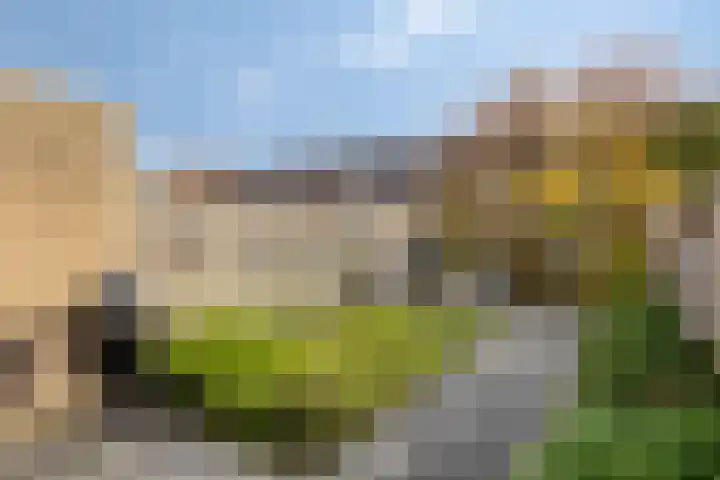 Salderes 138 Best thumbnail 31