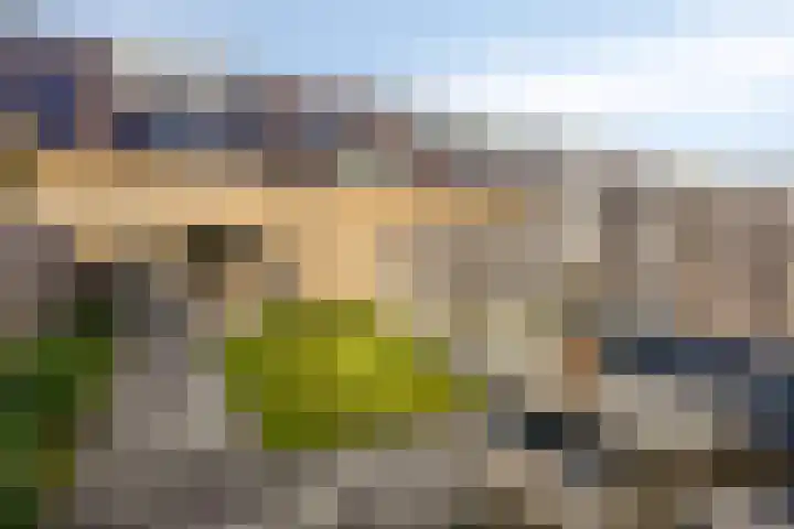 Salderes 138 Best thumbnail 32