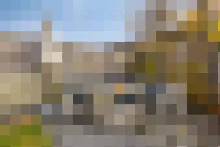 Salderes 138 Best thumbnail 33