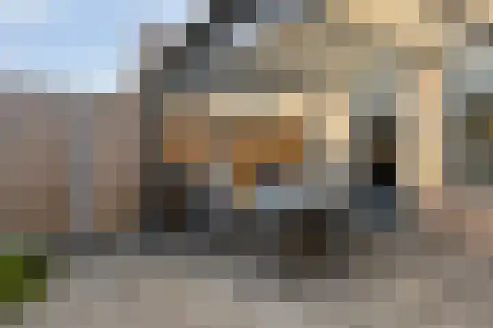 Salderes 138 Best thumbnail 34