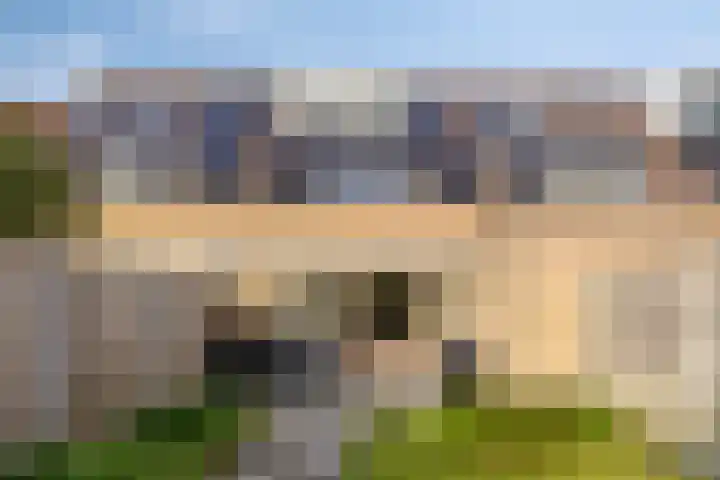 Salderes 138 Best thumbnail 35