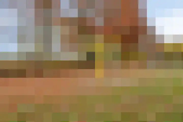 Salderes 138 Best thumbnail 36