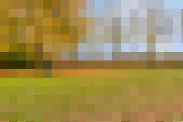 Salderes 138 Best thumbnail 38