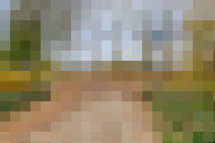 Salderes 138 Best thumbnail 39