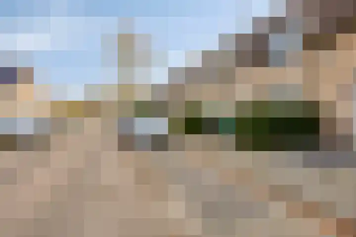 Salderes 138 Best thumbnail 7