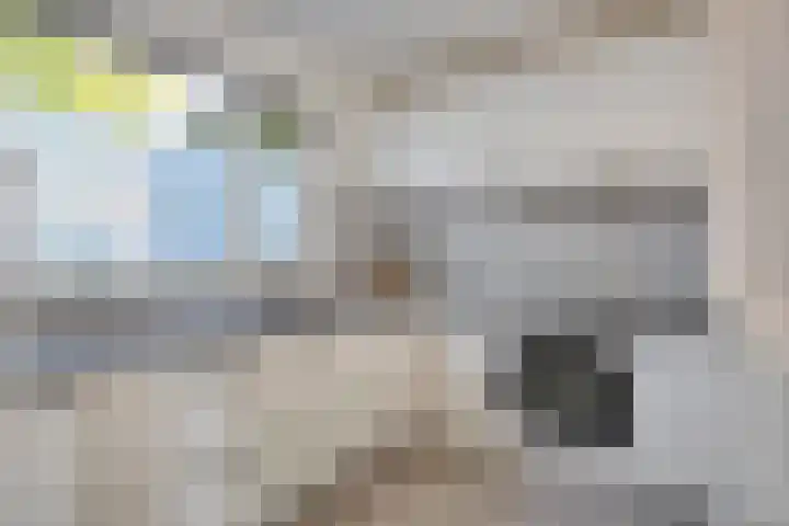 Salderes 61 Best thumbnail 12