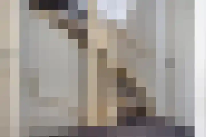 Salderes 61 Best thumbnail 14