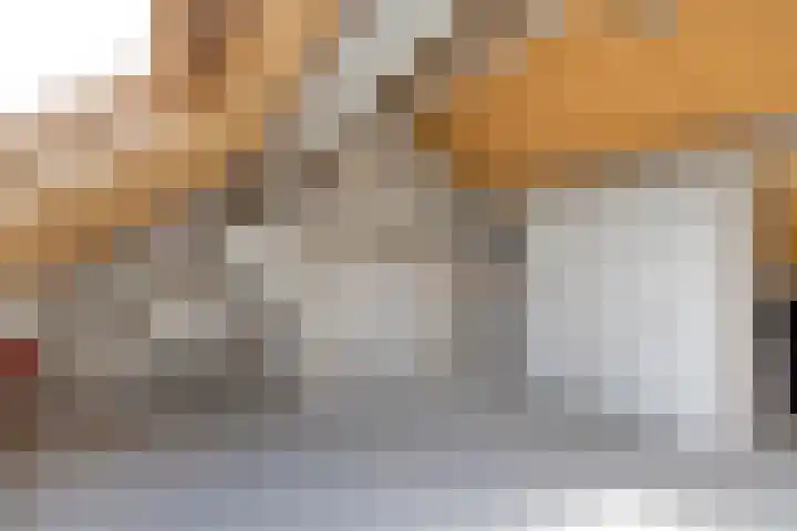 Salderes 61 Best thumbnail 22